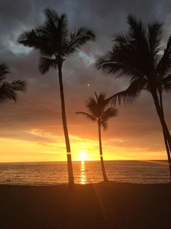 Newly Renovated Condo With Sup Paddle Boards And Golf Clubs Included Kailua-Kona Exterior foto