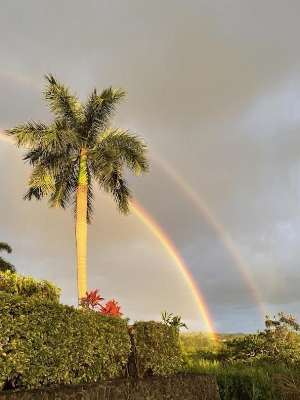 Newly Renovated Condo With Sup Paddle Boards And Golf Clubs Included Kailua-Kona Exterior foto